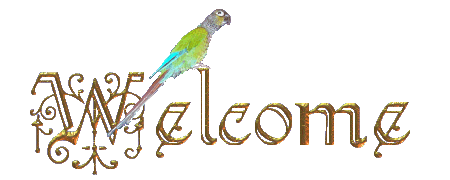 Welcome