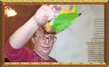 Mango